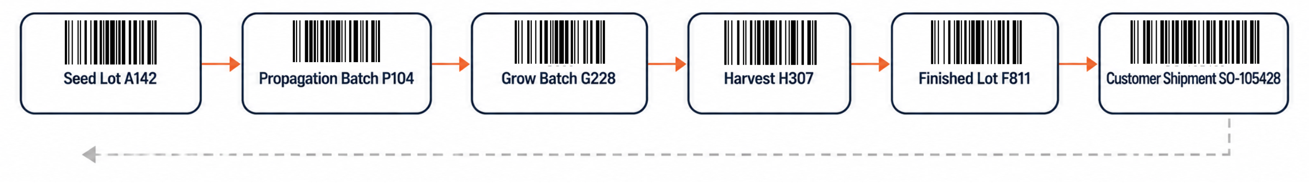 Seed lot through customer shipment traceability chain